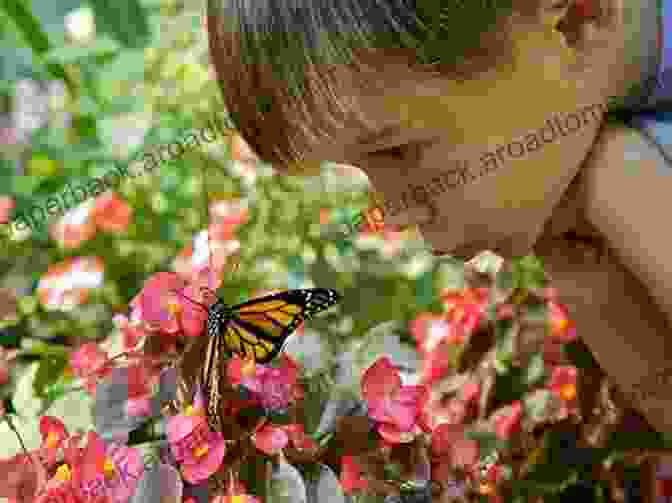 A Child Observing A Butterfly Animals A To Z: A To Z