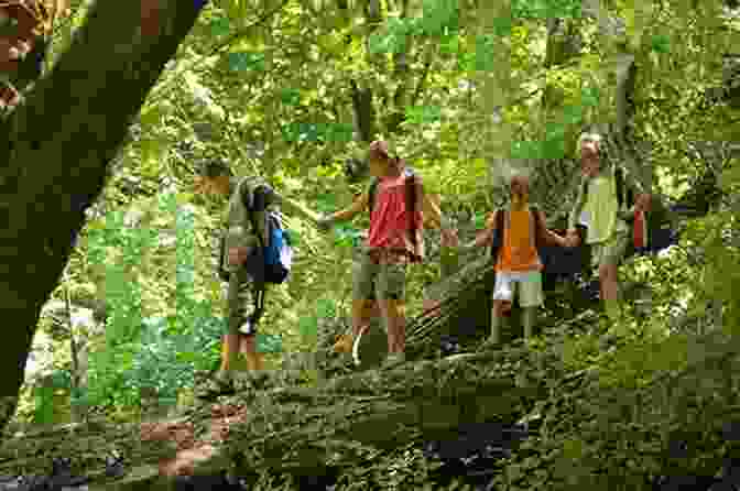 A Group Of Children Hiking Through A Foggy Forest The Soggy Foggy Campout #8 (Here S Hank)