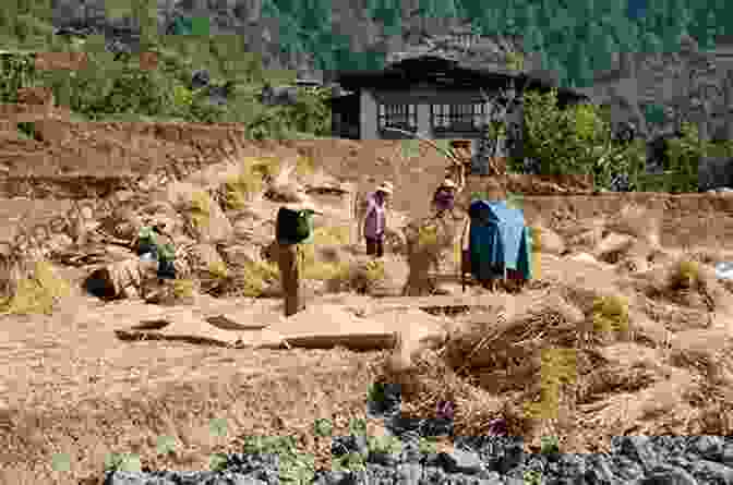 A Group Of Smiling Bhutanese Farmers Working In A Lush Rice Paddy, Surrounded By Stunning Himalayan Mountains. Recovering Cynic: Travelogues Of Emotional Healing