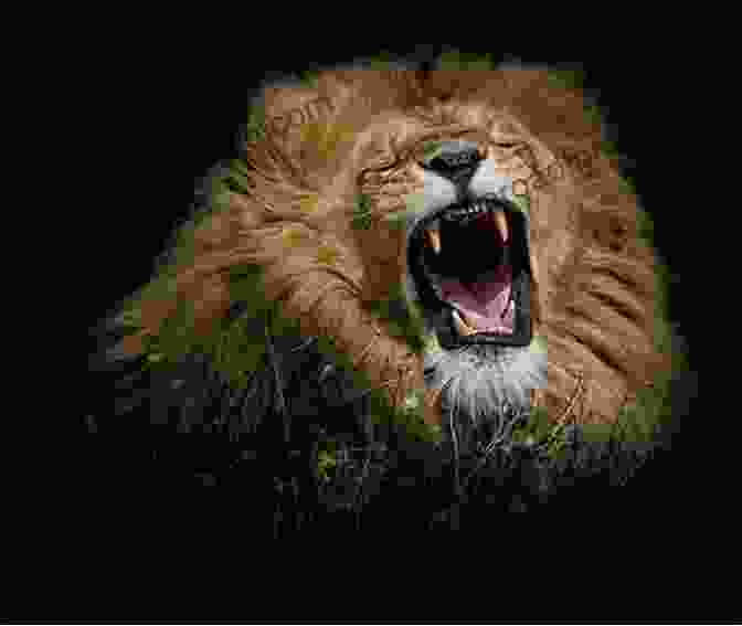 A Majestic Lion Roaring Animals A To Z: A To Z