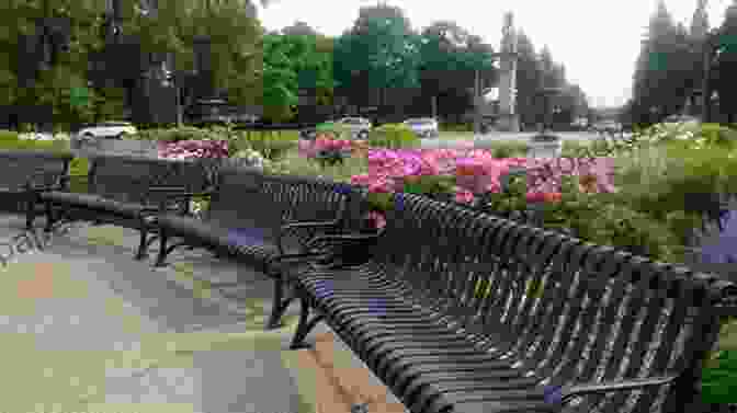 A Photograph Of A Public Bench In A City Park, Surrounded By Greenery And Offering A Place For Contemplation Escape Into Meaning: Essays On Superman Public Benches And Other Obsessions