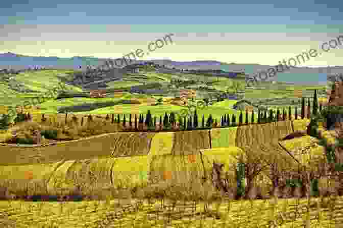 A Vibrant Acrylic Painting Of A Sun Drenched Italian Countryside, With Rolling Hills, Olive Groves, And A Distant Village. Art Works: A Selection Of Acrylic Pastel Oil Paintings And Drawings Fom The Italian Artist Erace Lestis