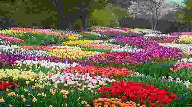 A Vibrant Flower Garden, Showcasing A Diverse Array Of Blooms In Full Bloom Some Common Flowers