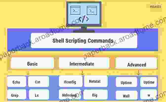 An Illustrative Example Of Shell Scripting Commands And Their Impact On The System Operating System Practicals Including Shell Scripts