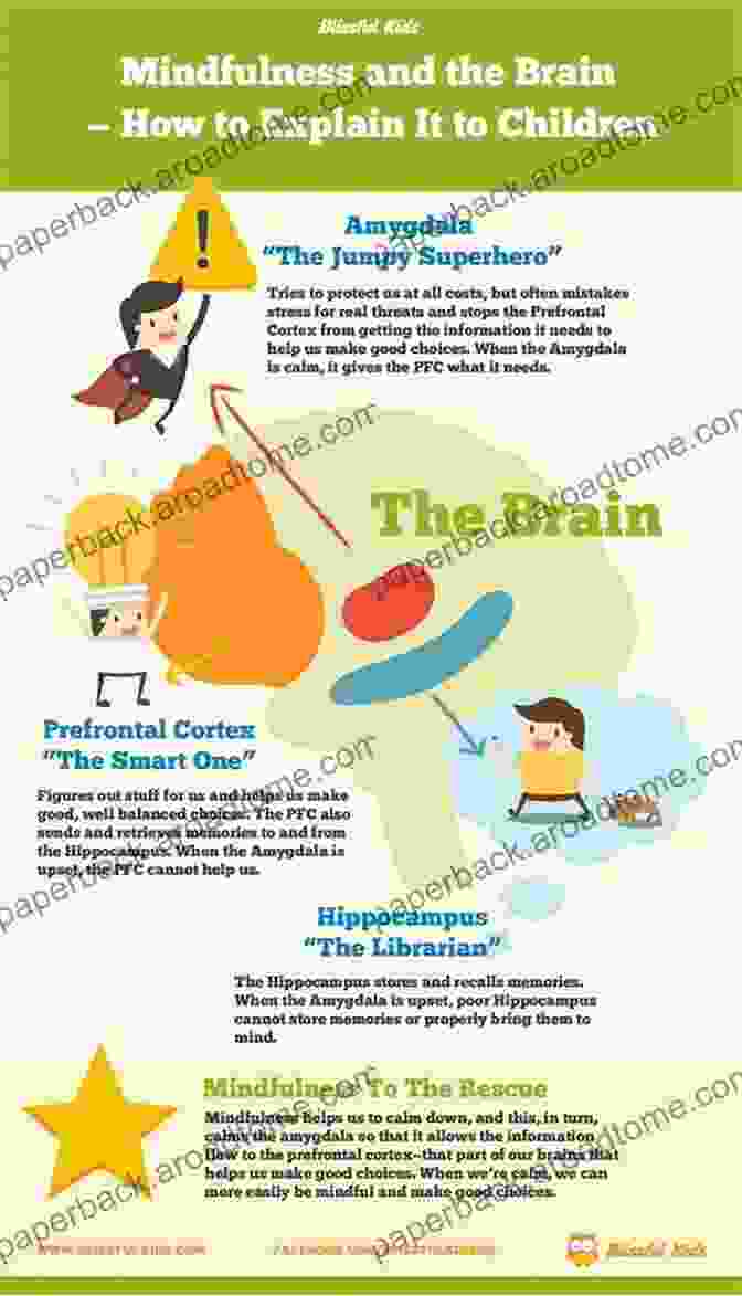 Book Cover: The Child Brain Explained To Parents The Child S Brain Explained To Parents (Plataforma Actual)