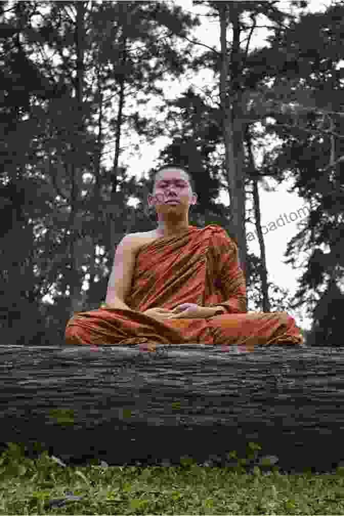 Buddhist Monk Engaged In Meditation Prescribing The Dharma: Psychotherapists Buddhist Traditions And Defining Religion