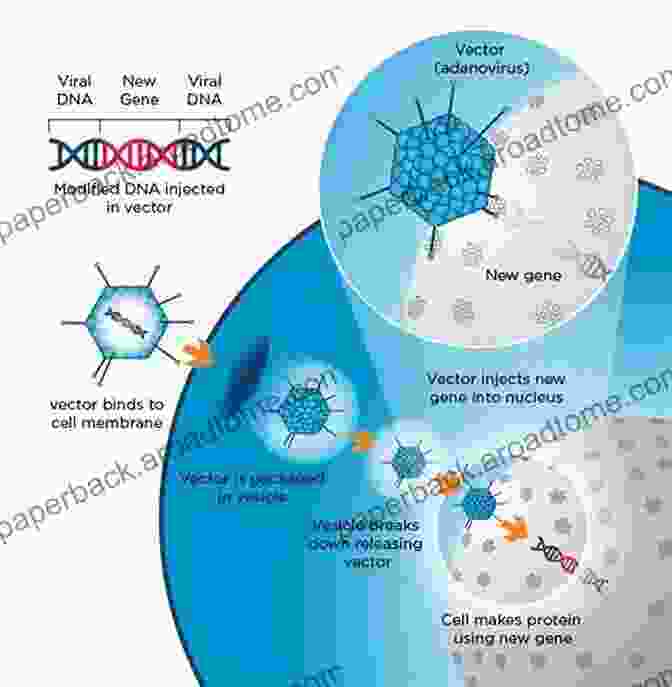 Diagram Of A Viral Vector HIV Vaccine Current Vaccine Strategies Against HIV