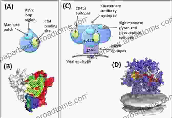 Diagram Of An Envelope Based HIV Vaccine Current Vaccine Strategies Against HIV