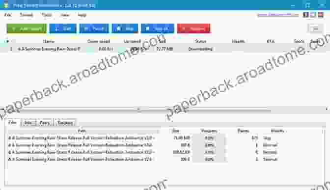 Downloading Torrents: From Finding To Completion The Torrent Guide For Everyone Illustrated