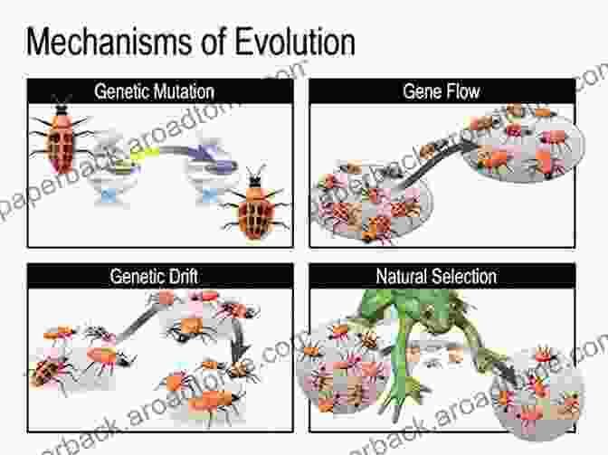 Evolution: A Natural Process Creation Vs Evolution