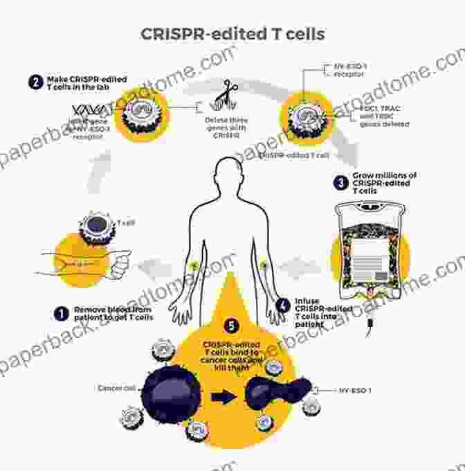 Gene Therapy For Cancer Treatment PREVENTION AND POSSIBLE CURE OF BREAST DIGESTIVE AND PROSTATE CANCERS: AN A To Z COMPREHENSIVE SELF HELP REFERENCE GUIDE: Volume 1