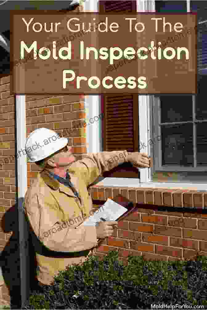 Image Depicting The Process Of A Professional Mold Inspection The Essential Guide To Mold And Real Estate