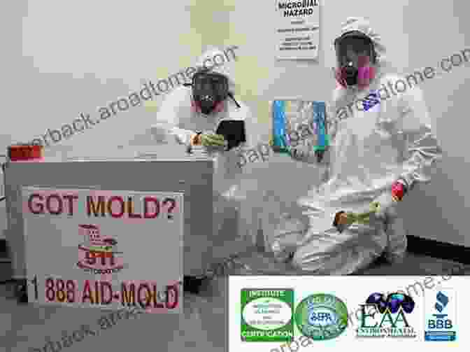 Image Displaying Various Mold Remediation Techniques The Essential Guide To Mold And Real Estate