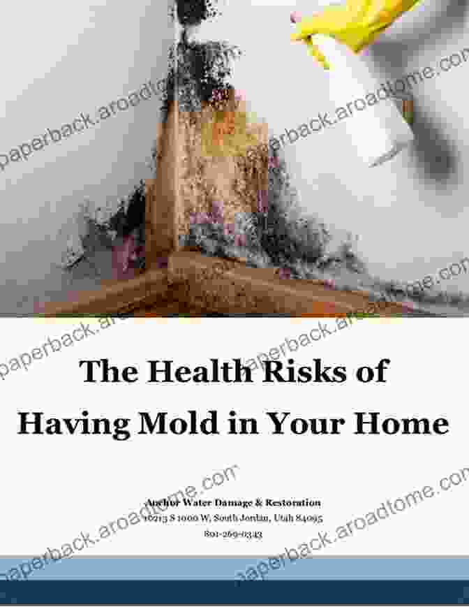 Image Illustrating The Health Risks Associated With Mold Exposure The Essential Guide To Mold And Real Estate