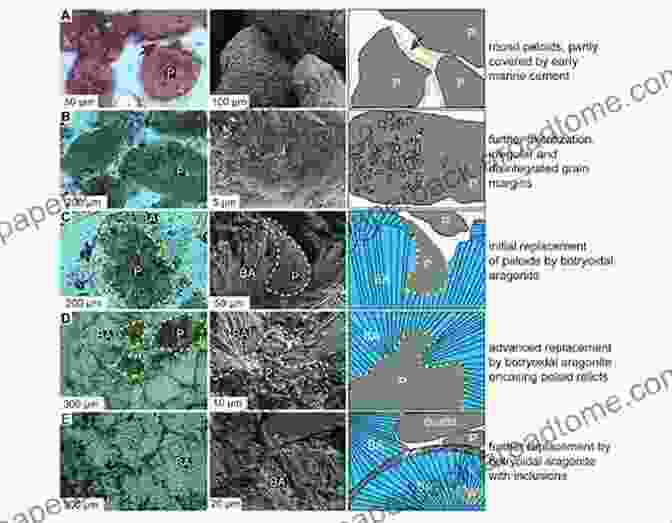 Peloid Microfabric In Thin Section, Showing Irregular Shapes And Micritic Internal Structure, Suggesting Formation In Low Energy Coastal Or Lacustrine Settings Carbonate Microfabrics (Frontiers In Sedimentary Geology)