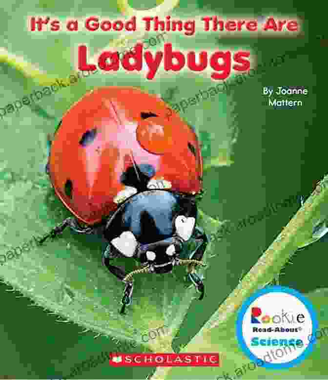 Rosy Ladybug Book Cover With Colorful Background Learning Colors: (Early Learning With Rosy Ladybug)