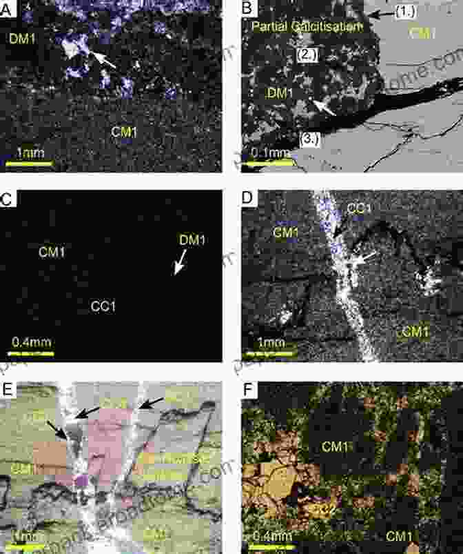 Sparry Calcite Microfabric In SEM Image, Displaying Large, Interlocking Crystals Formed During Recrystallization In Subsurface Environments Carbonate Microfabrics (Frontiers In Sedimentary Geology)