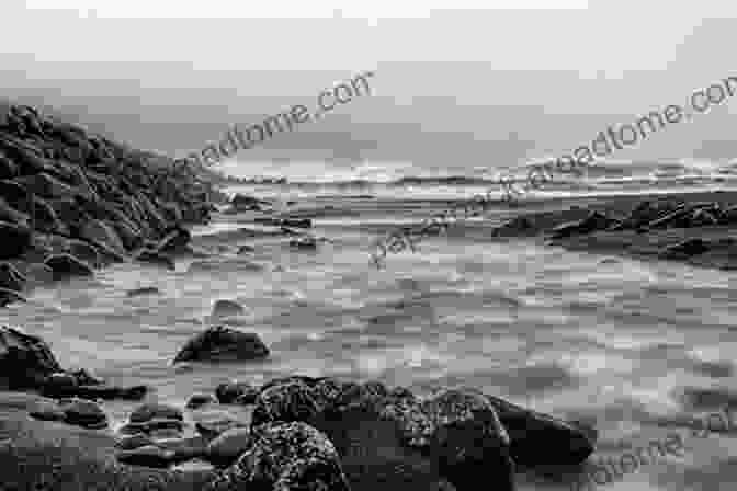 Stunning Black And White Landscape Photograph, Capturing The Ethereal Beauty Of Nature Black And White Photography For Beginners: Easy To Follow Users Guide