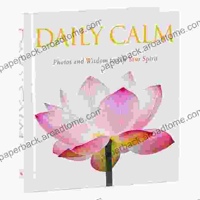 The Calming Gift Book Cover Glorious Roses: A No Text Picture Book: A Calming Gift For Alzheimer Patients And Seniors Living With Dementia (Hidden Memories)