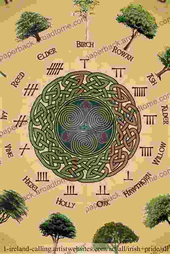 The Ogham Year Wheel And Its Connection To The Trees The Ogham Year Wheel