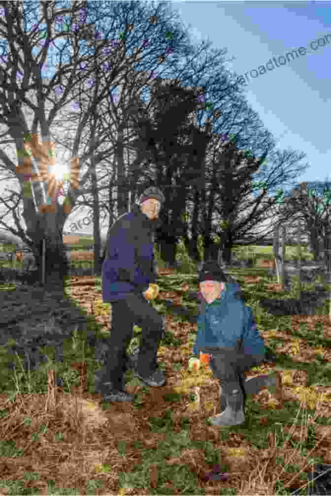 Volunteers Planting Trees In A Meadow In The Yorkshire Dales As Part Of A Conservation Effort. Yorkshire Dales (Collins New Naturalist Library 130)