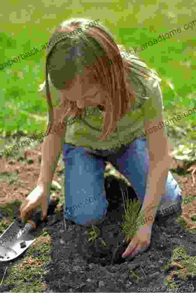 Young Girl Planting Tree Trees And Deforestation (Children Saving Our Planet Series)