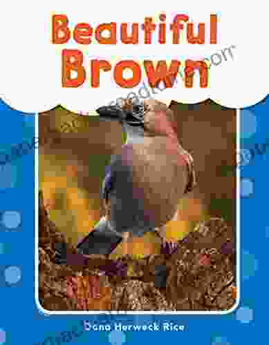 Beautiful Brown (My Words Readers)