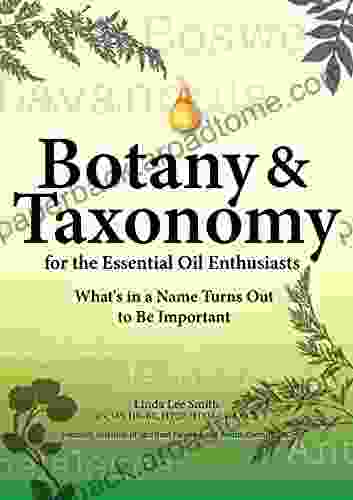 Botany And Taxonomy For Essential Oil Enthusiasts: What S In A Name Turns Out To Be Important