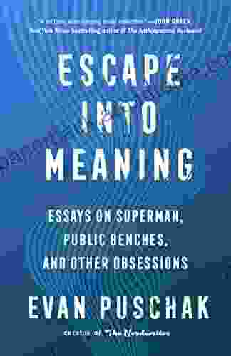 Escape Into Meaning: Essays On Superman Public Benches And Other Obsessions