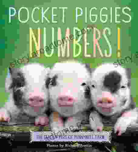 Pocket Piggies Colors : Featuring The Teacup Pigs Of Pennywell Farm