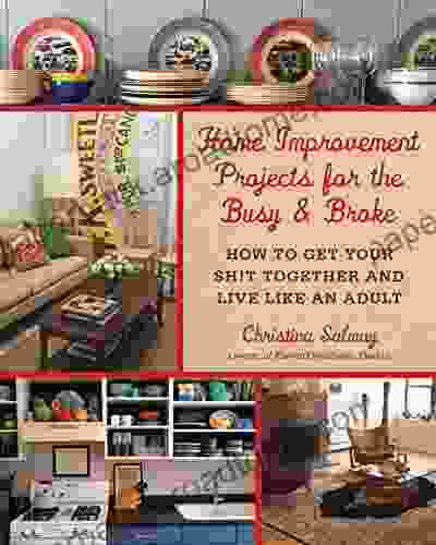 Home Improvement Projects For The Busy Broke: How To Get Your $h T Together And Live Like An Adult