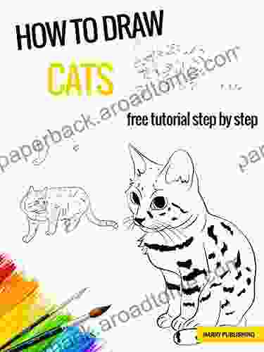 How To Draw Cats Step By Step Drawing