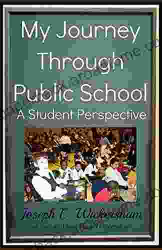 My Journey Through Public School: A Student Perspective