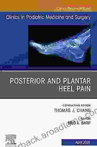 Posterior And Plantar Heel Pain An Issue Of Clinics In Podiatric Medicine And Surgery E (The Clinics: Orthopedics 38)