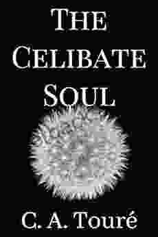 The Celibate Soul (The Spiritual Awakening 2)