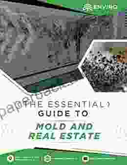 The Essential Guide to Mold and Real Estate