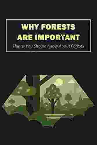 Why Forests Are Important: Things You Should Know About Forests