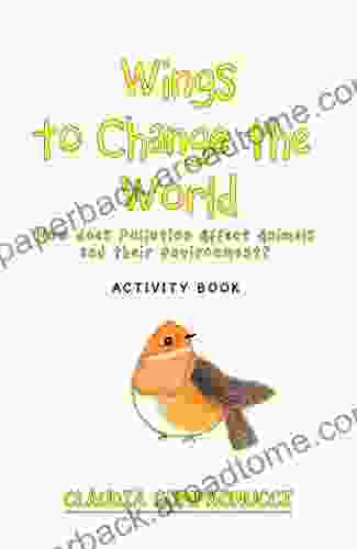 Wings To Change The World: Activity